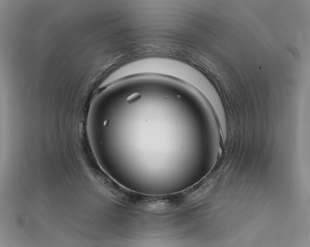 X0000112110456200908041544