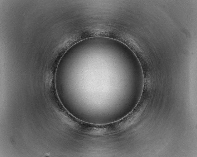 X0000112110458200908041544