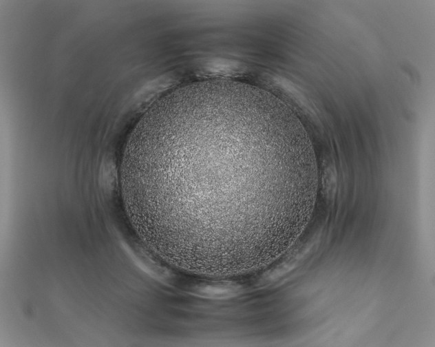 X0000112110459200908041544