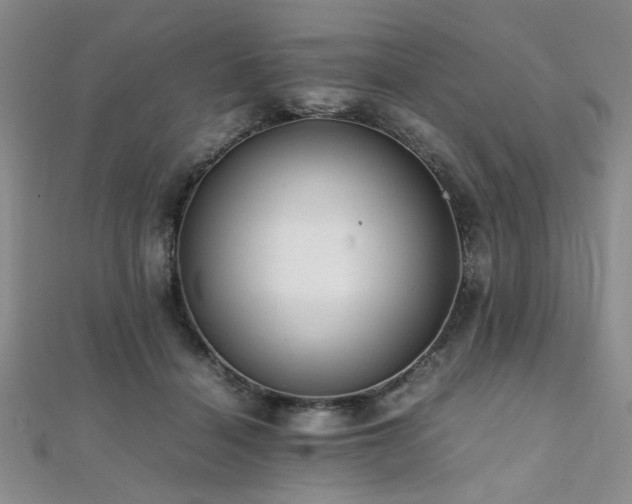 X0000112110460200908041544