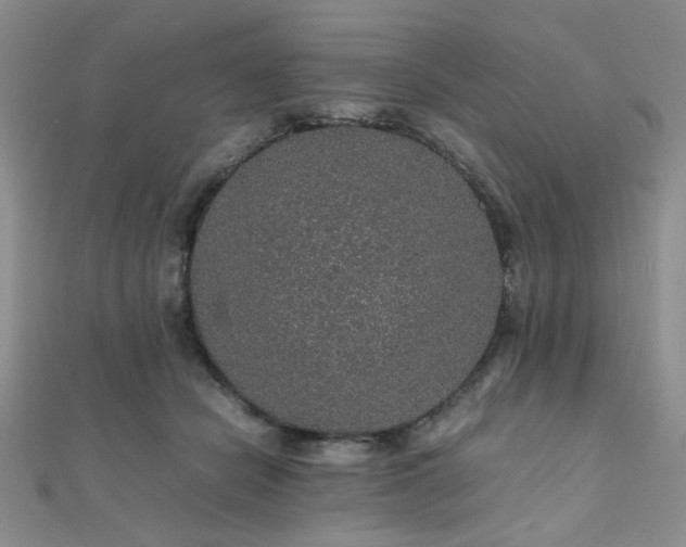 X0000112110462200908041545