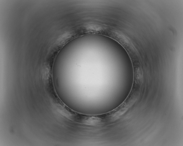 X0000112110463200908041545