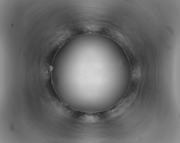 X0000112110464200908041545