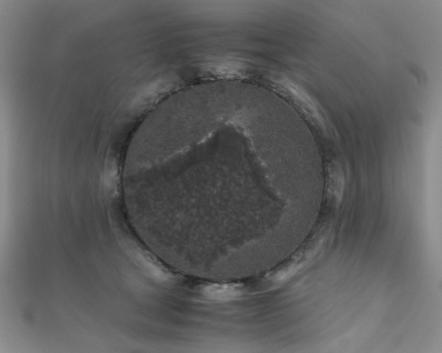 X0000112110465200908041545