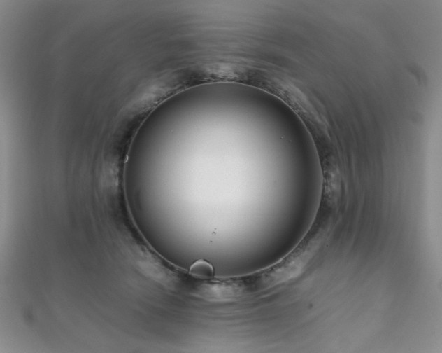 X0000112110466200908041545