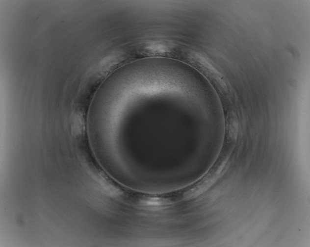 X0000112110467200908041545