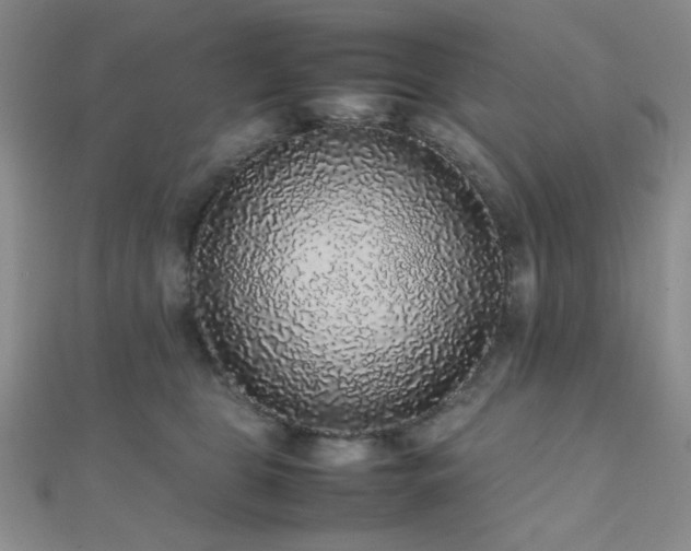 X0000112110469200908041545