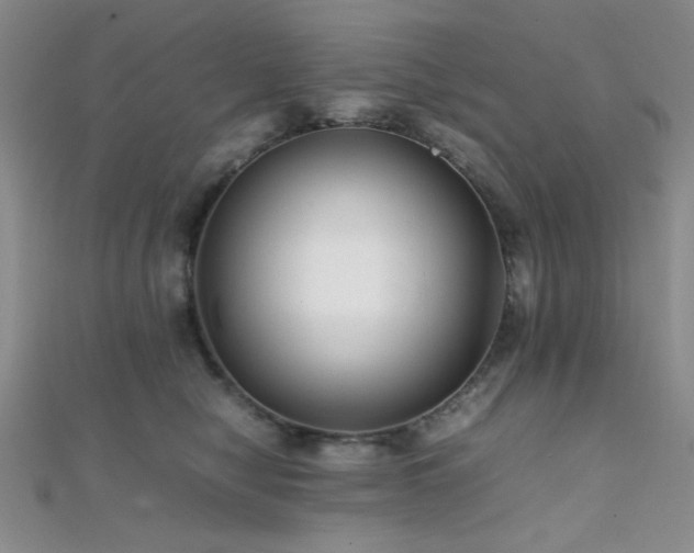 X0000112110470200908041545