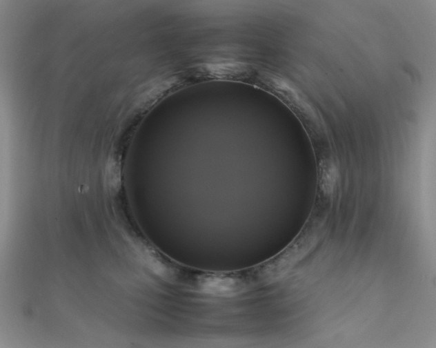 X0000112110471200908041545