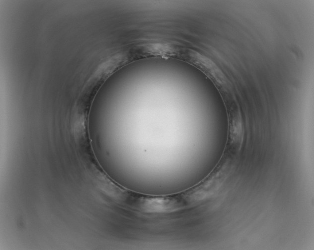 X0000112110473200908041545