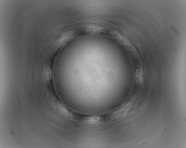 X0000112110474200908041545