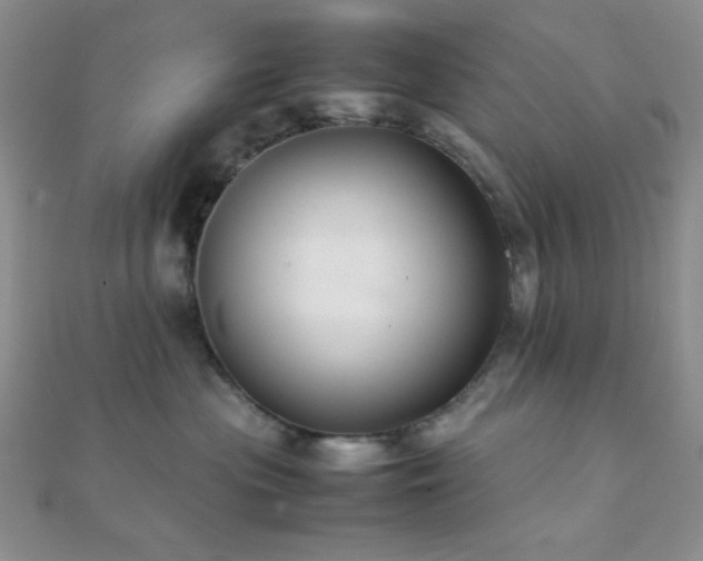 X0000112110477200908041545