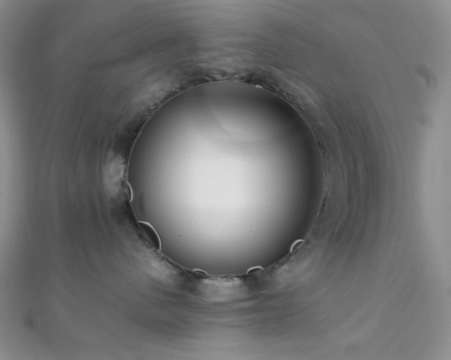 X0000112110480200908041545