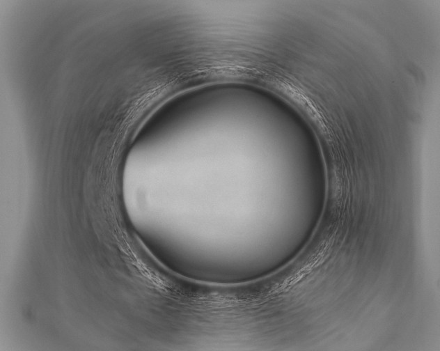 X0000112110481200908041544