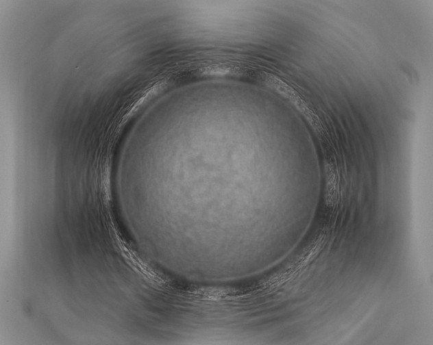 X0000112110482200908041544