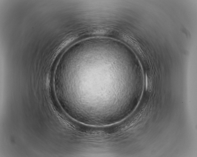 X0000112110483200908041544