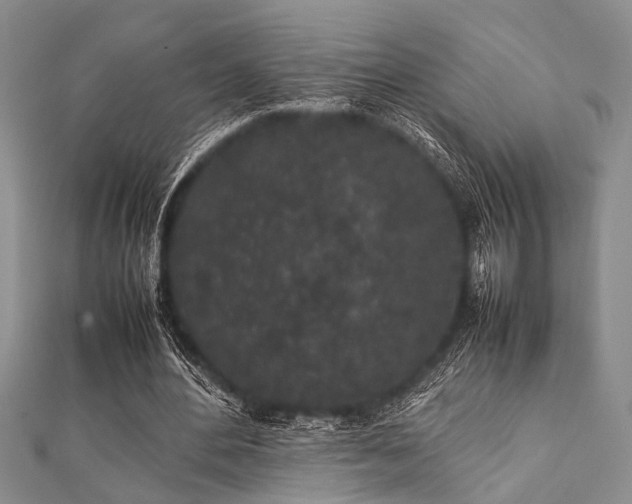 X0000112110484200908041544