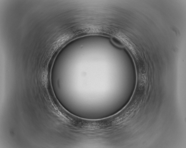 X0000112110485200908041544