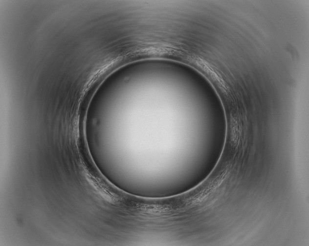 X0000112110486200908041544