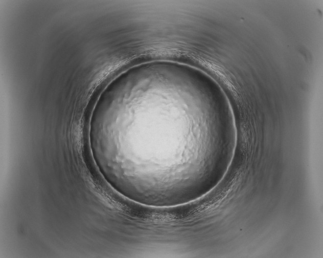 X0000112110487200908041544