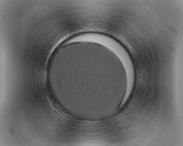 X0000112110488200908041544