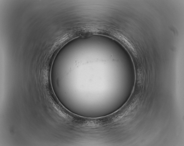 X0000112110489200908041544