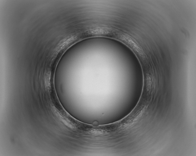 X0000112110490200908041544