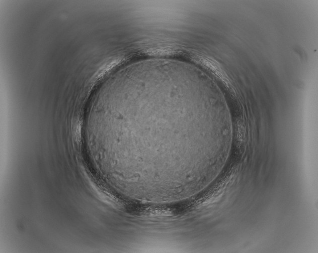 X0000112110491200908041544