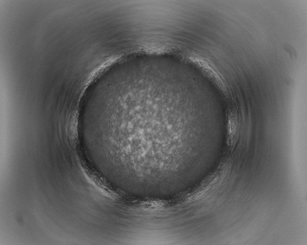 X0000112110492200908041544