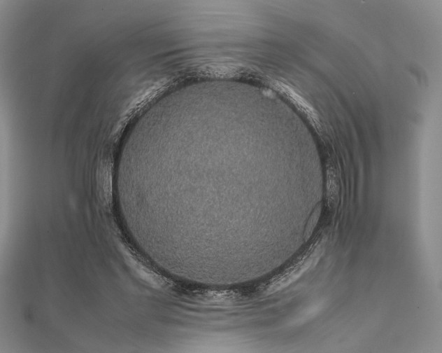 X0000112110493200908041544