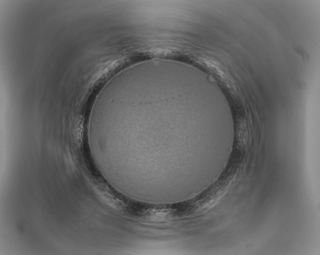 X0000112110495200908041544