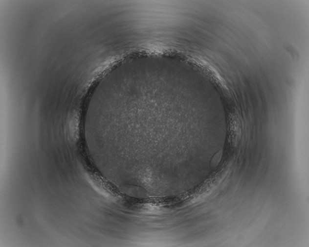 X0000112110496200908041544