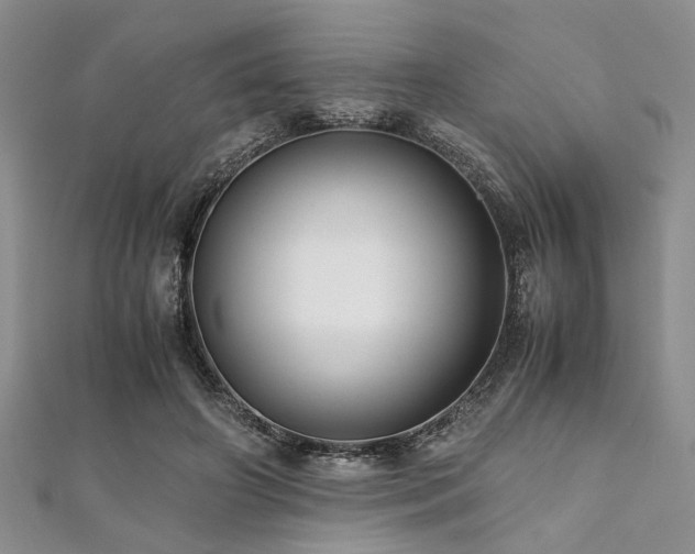 X0000112110498200908041544