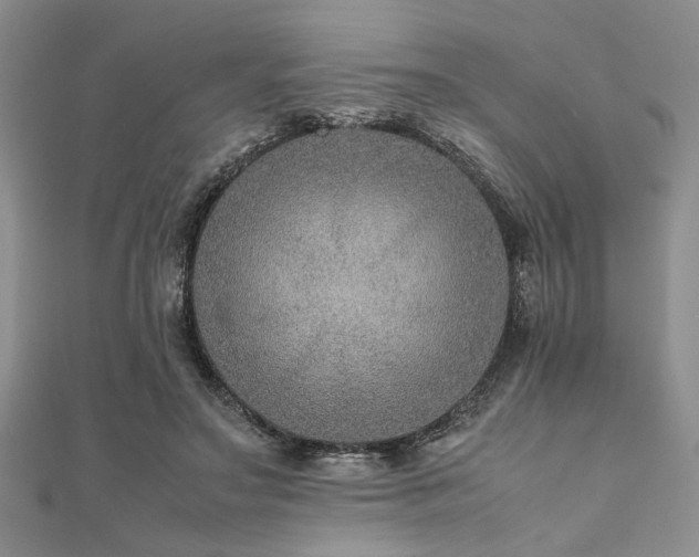 X0000112110499200908041544