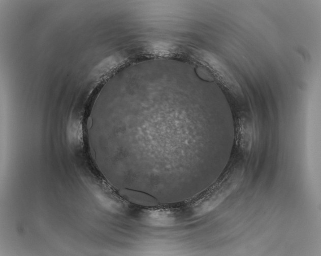 X0000112110500200908041544