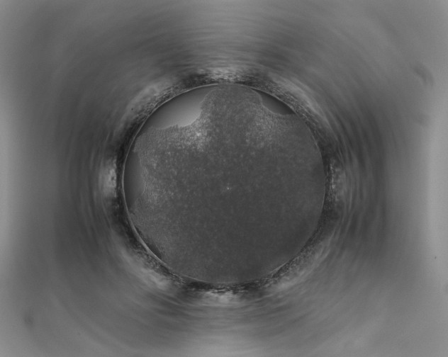 X0000112110502200908041544