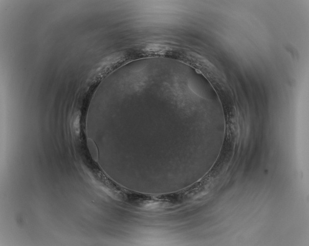 X0000112110504200908041544