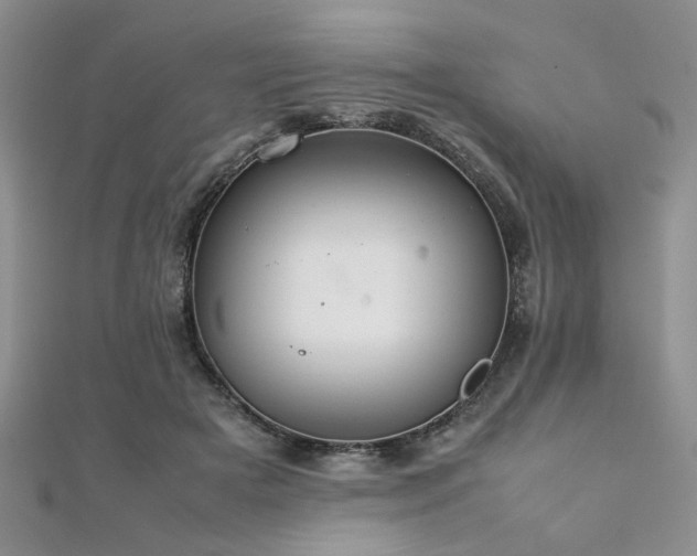 X0000112110505200908041544