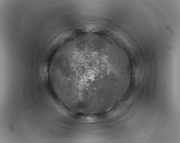 X0000112110506200908041544