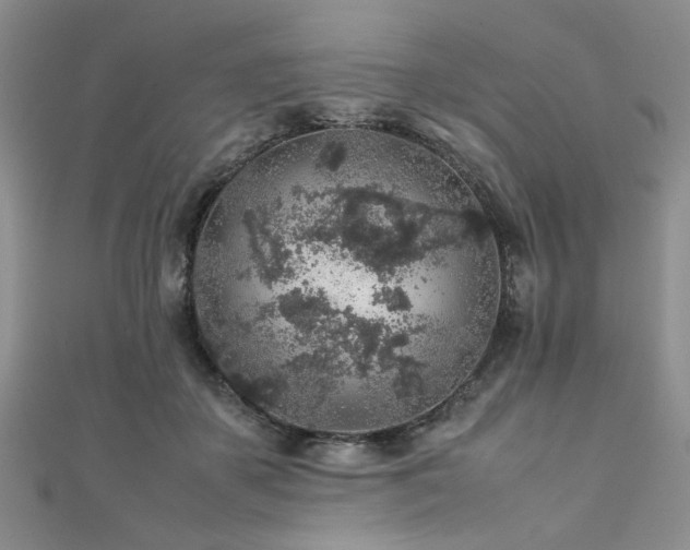 X0000112110507200908041544