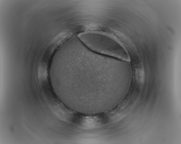 X0000112110508200908041544