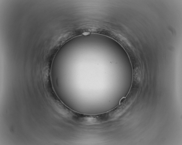 X0000112110509200908041544