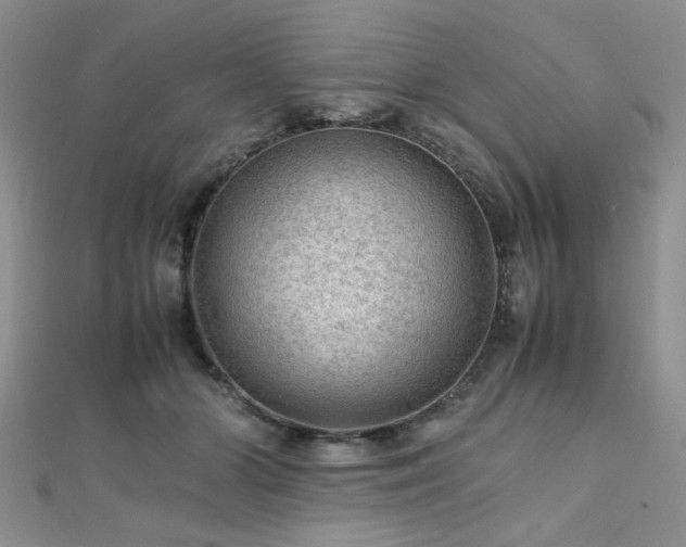 X0000112110510200908041544