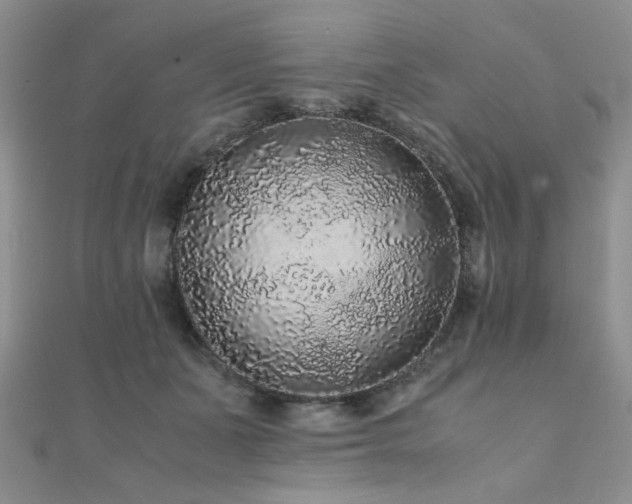 X0000112110511200908041544