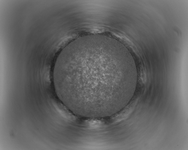 X0000112110512200908041544