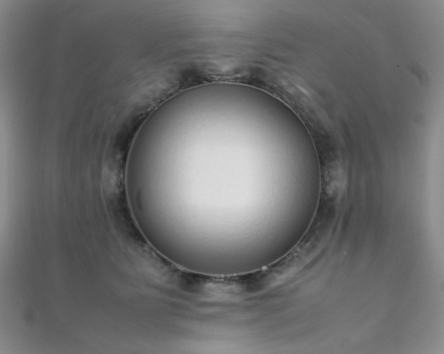 X0000112110515200908041544