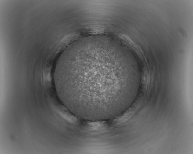 X0000112110516200908041544