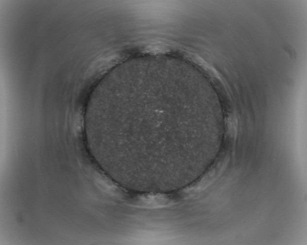 X0000112110517200908041544