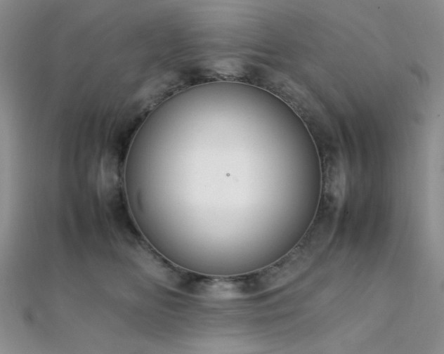 X0000112110518200908041544