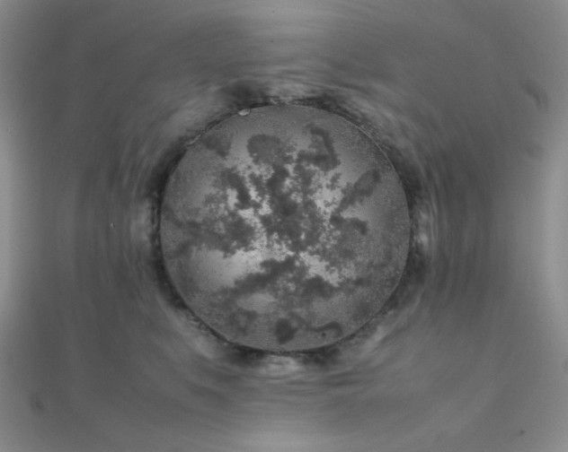 X0000112110519200908041544